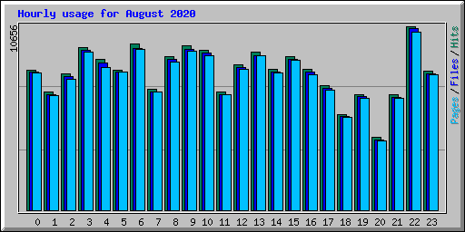 Hourly usage for August 2020